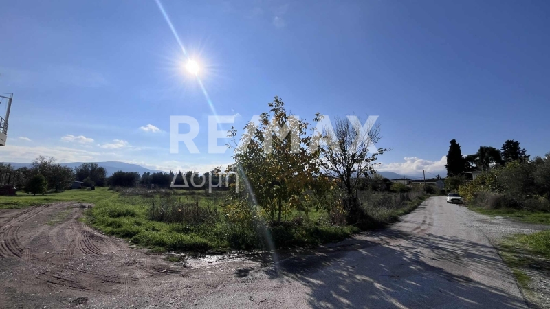 Land, For Sale