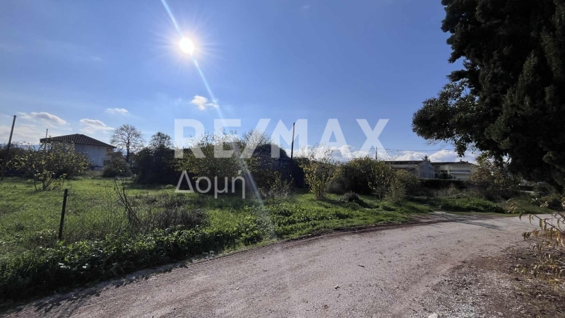 Land, For Sale
