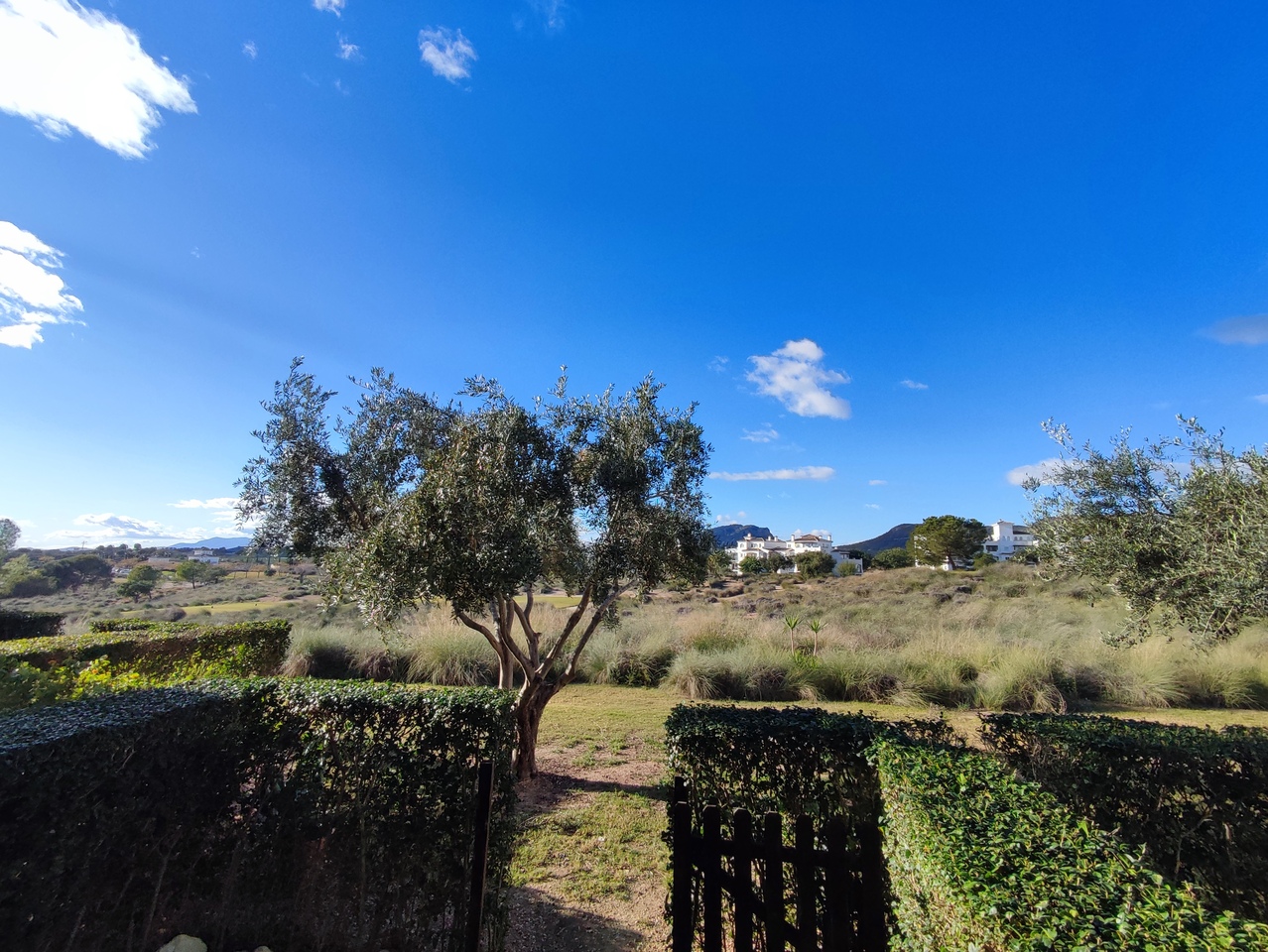 2 Bed, 1 Bath, ApartmentFor Sale, Hacienda Riquelme Golf Resort, Murcia