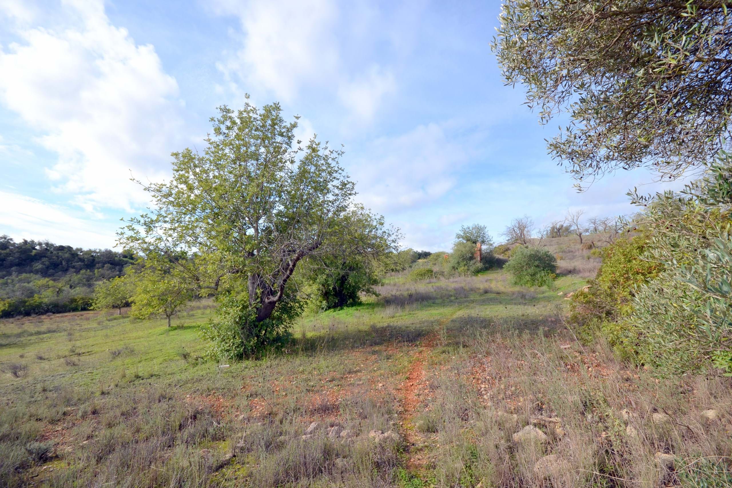 Land, For Sale