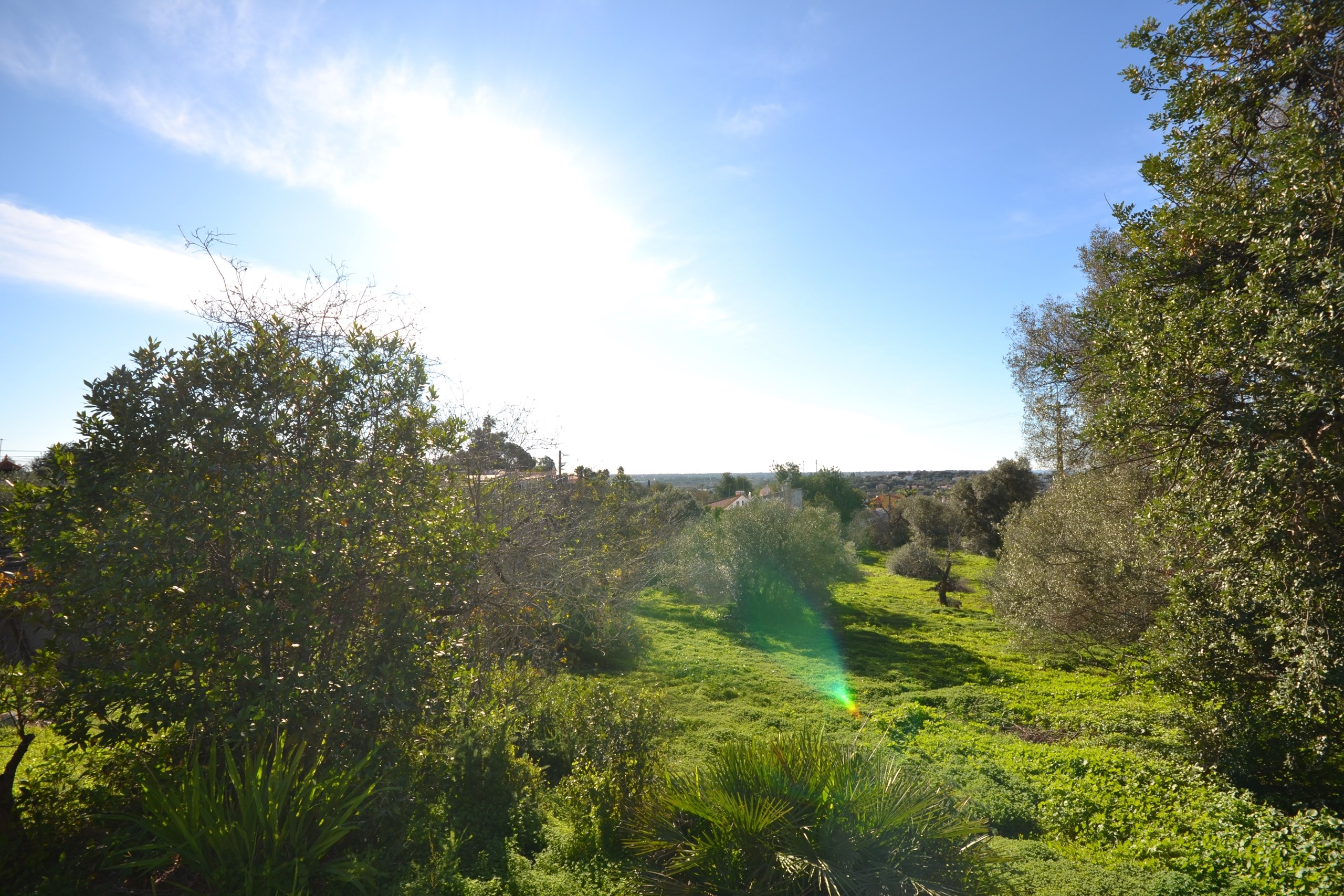 3 Bed, 1 Bath, HouseFor Sale, Loulé, Faro, 8100-289