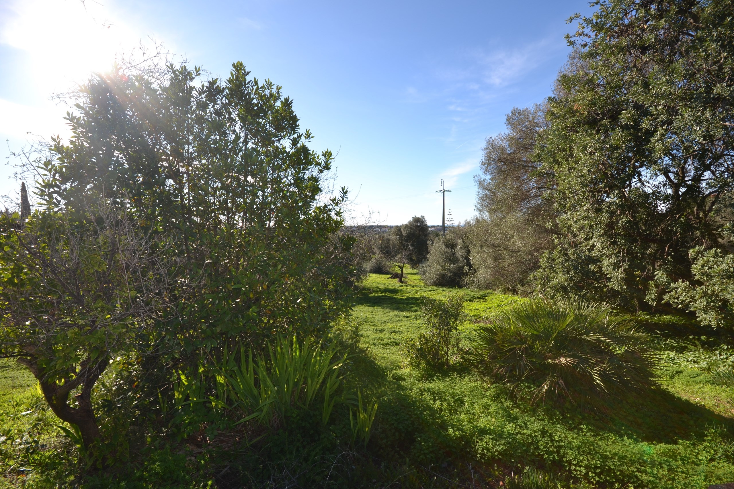 3 Bed, 1 Bath, HouseFor Sale, Loulé, Faro, 8100-289