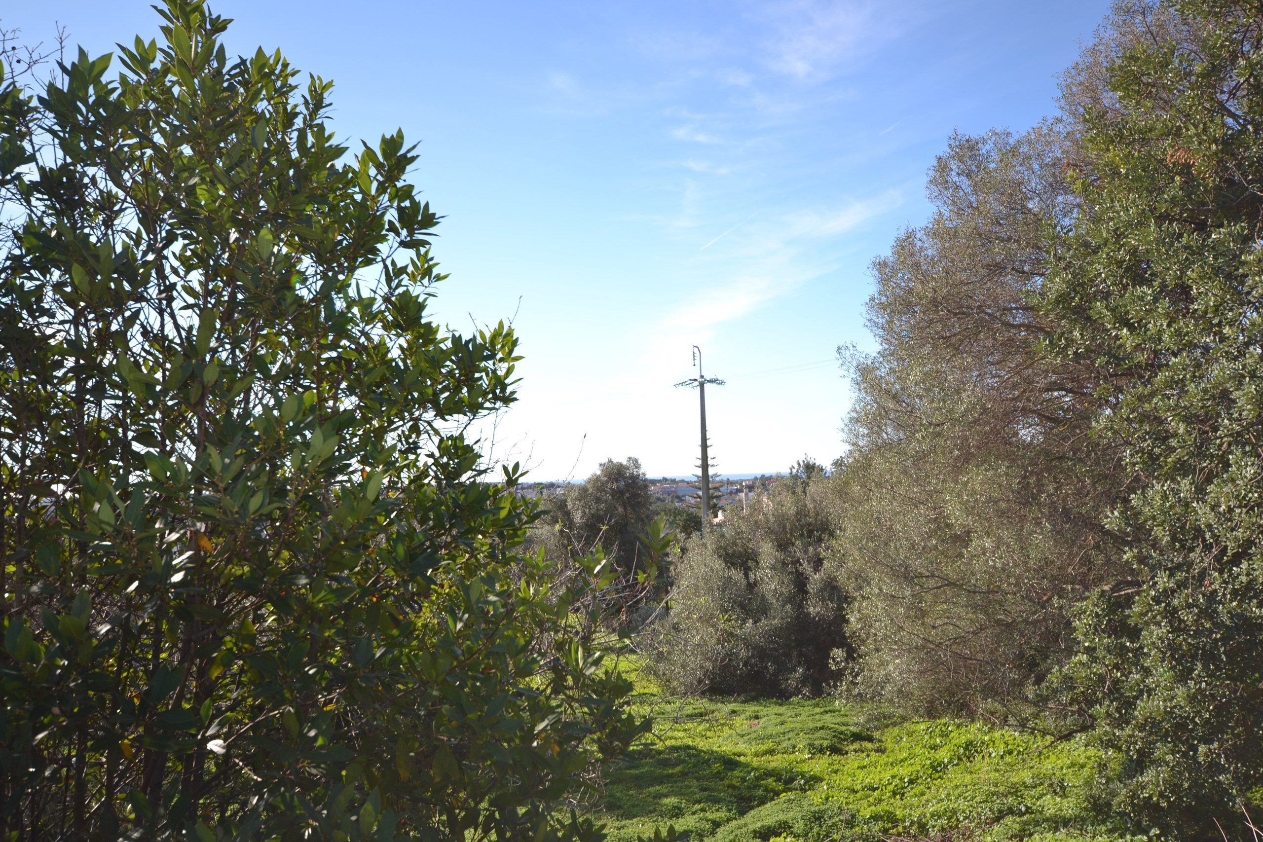 3 Bed, 1 Bath, HouseFor Sale, Loulé, Faro, 8100-289