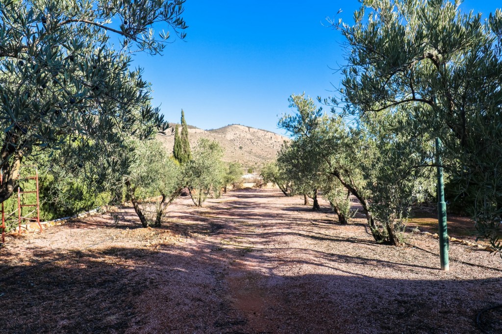 3 Bed, 1 Bath, HouseFor Sale, Hondon De Las Nieves, Alicante