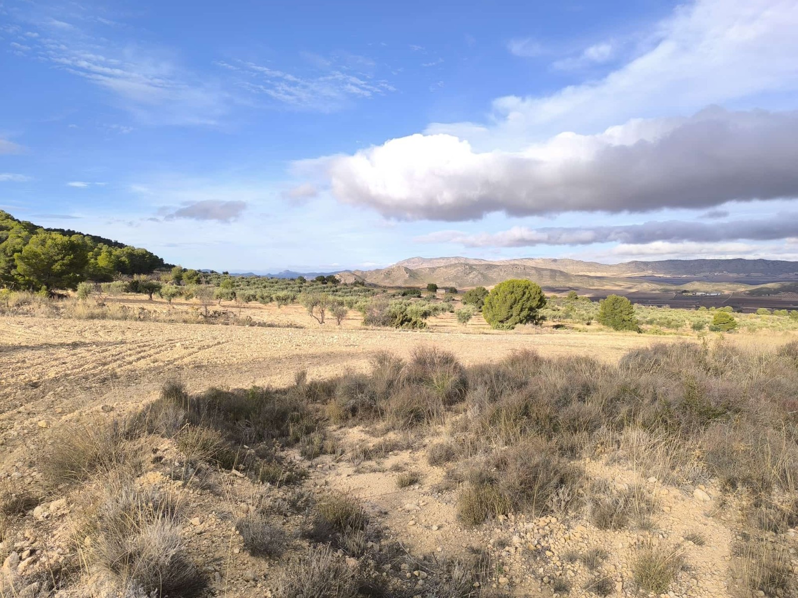 5 Bed, 1 Bath, HouseFor Sale, Yecla, Murcia