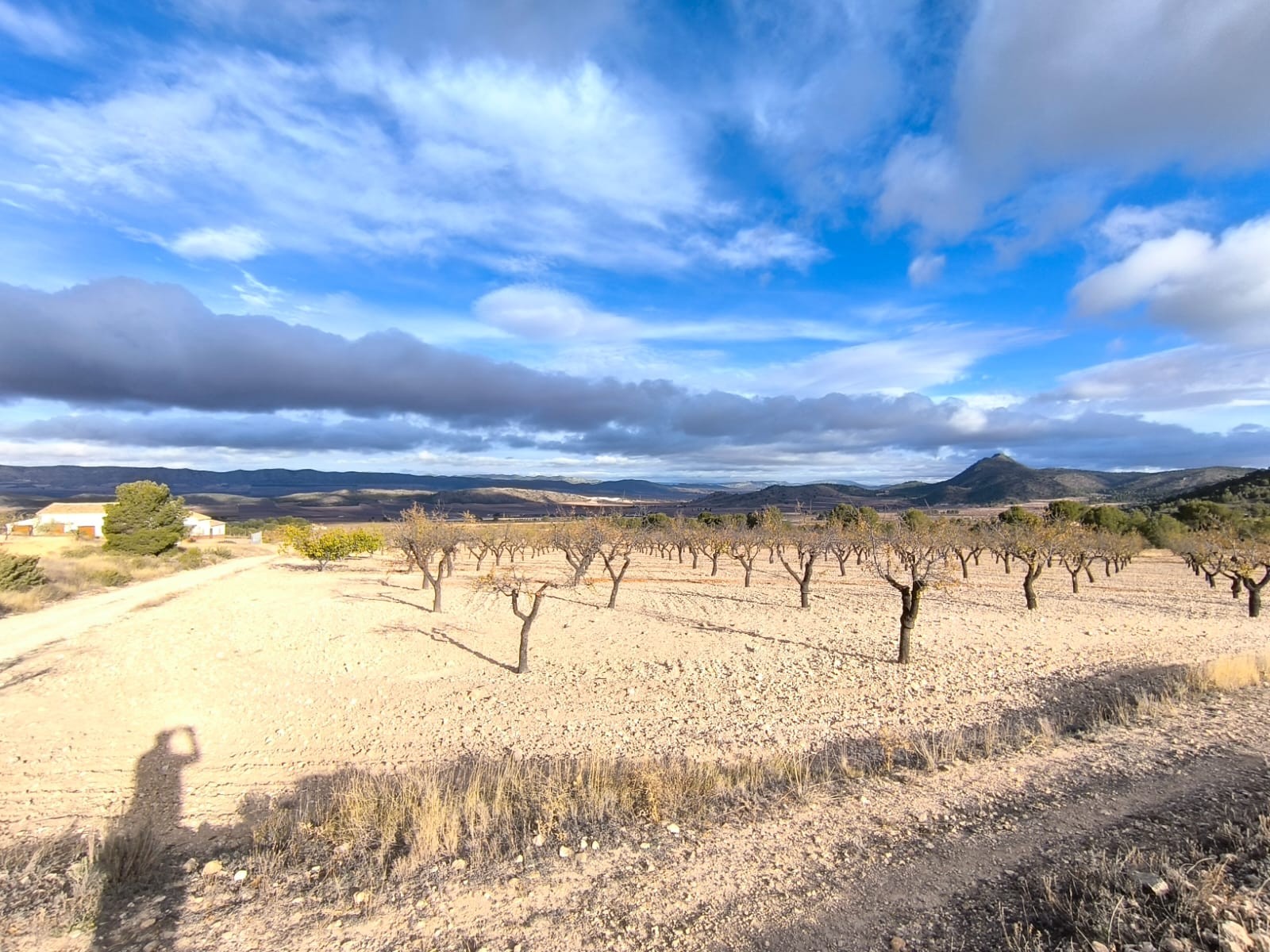 5 Bed, 1 Bath, HouseFor Sale, Yecla, Murcia