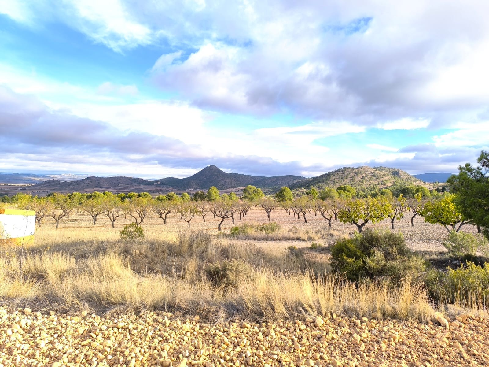 5 Bed, 1 Bath, HouseFor Sale, Yecla, Murcia