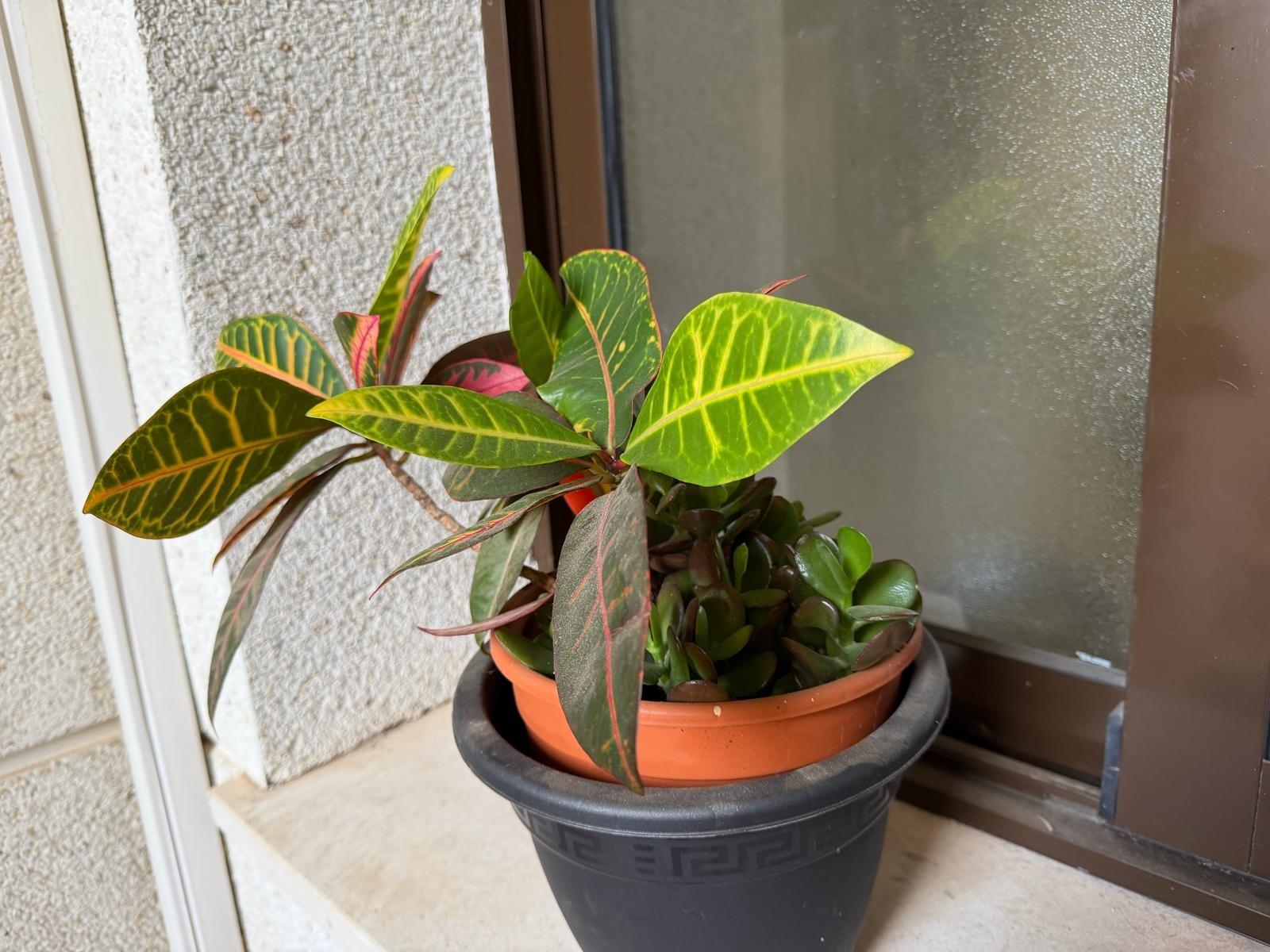 2 Bed, 2 Bath, ApartmentFor Sale, Orihuela Costa, Alicante