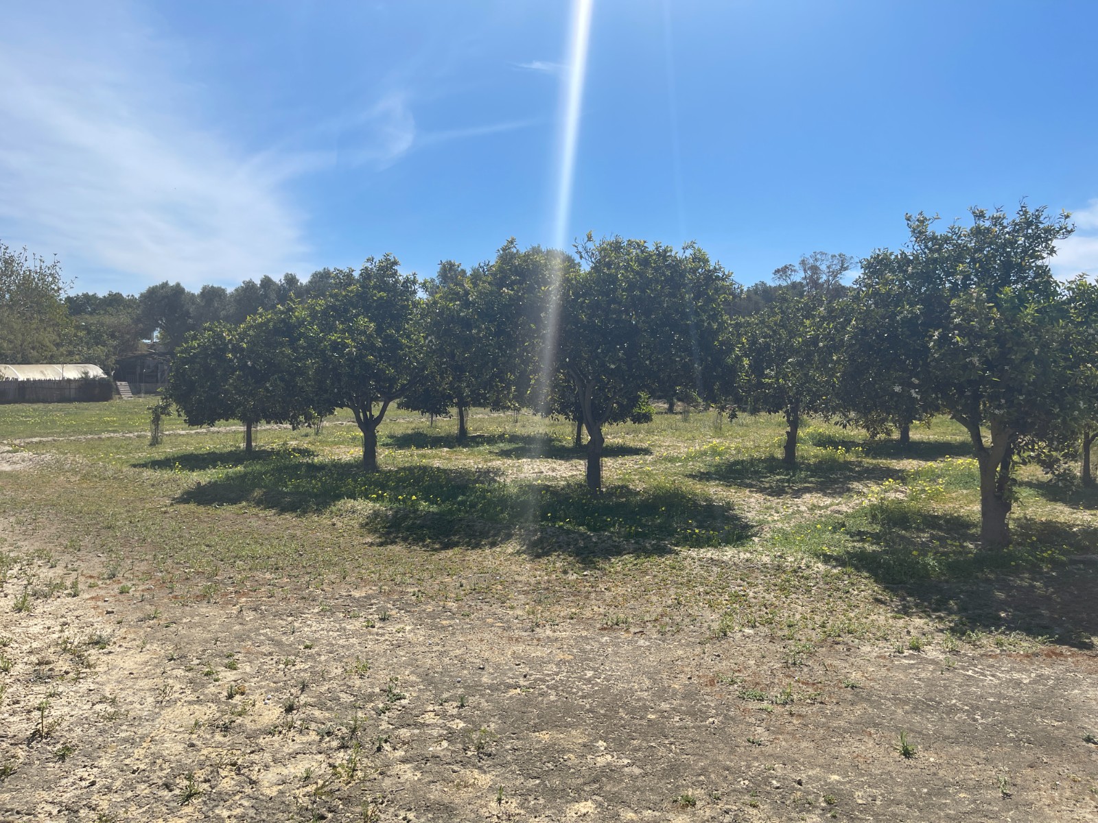 3 Bed, 2 Bath, HouseFor Sale, Guardamar Del Segura, Alicante