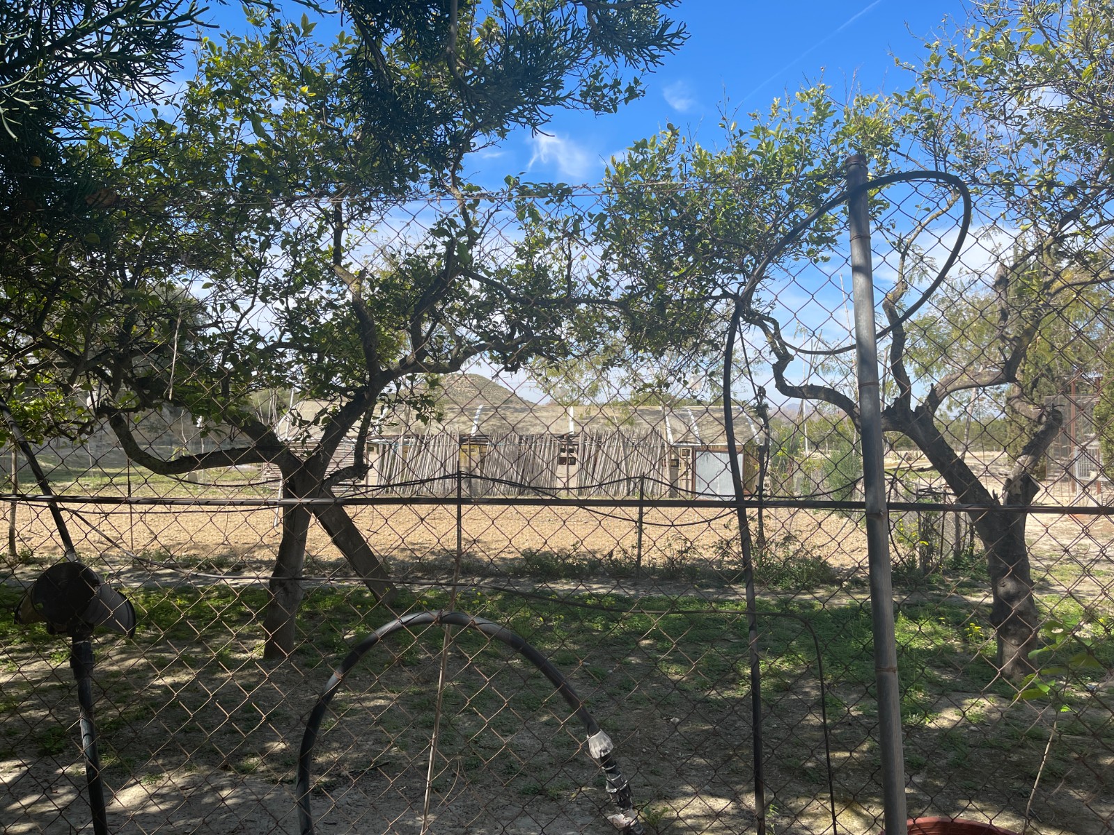 3 Bed, 2 Bath, HouseFor Sale, Guardamar Del Segura, Alicante