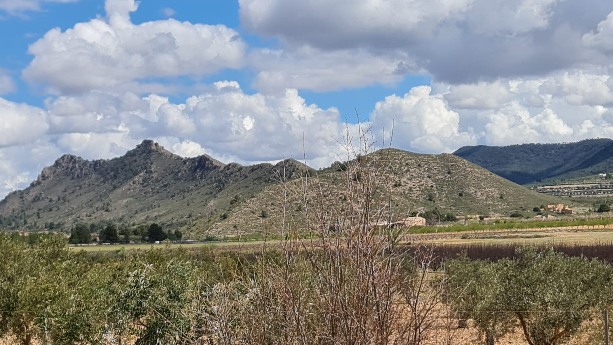 2 Bed, 1 Bath, HouseFor Sale, Yecla, Murcia