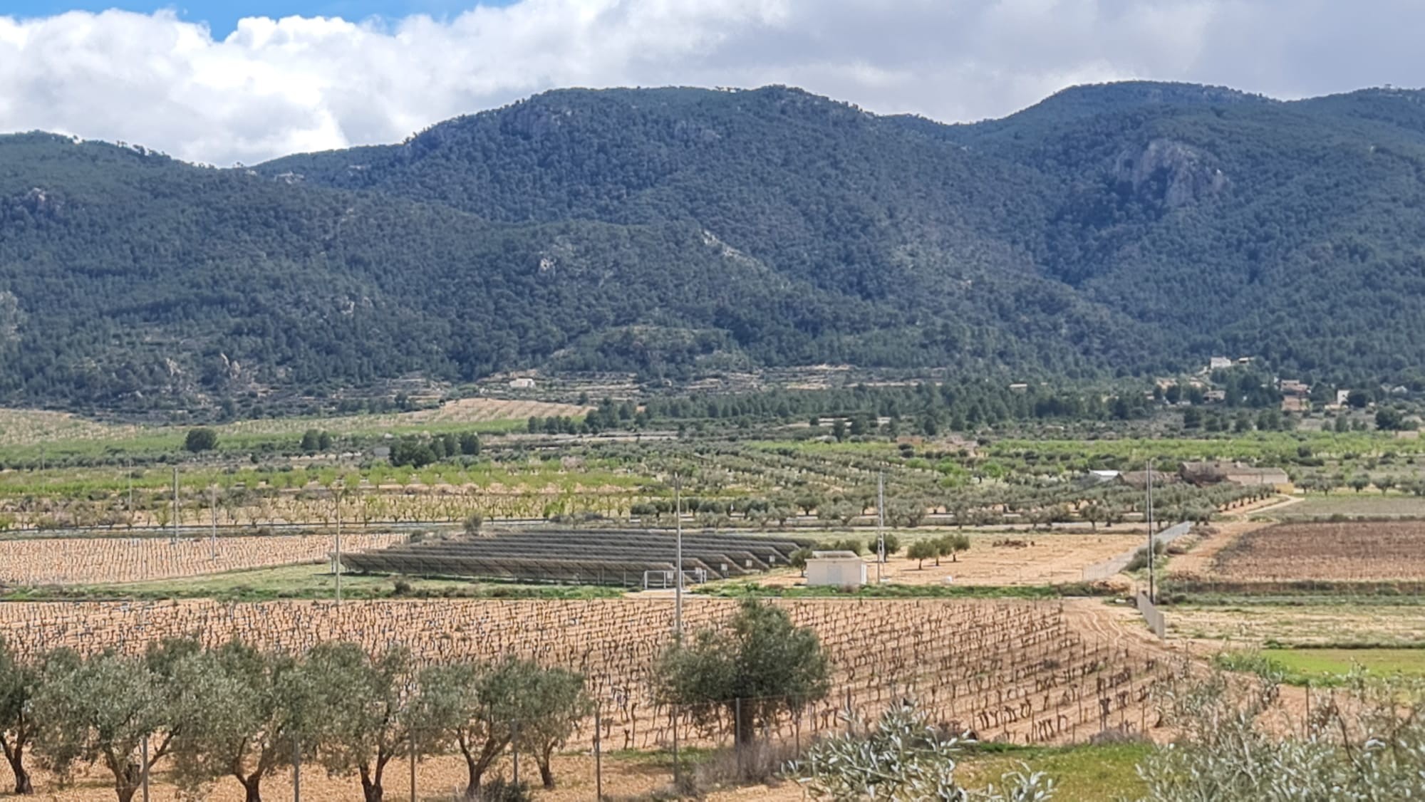 2 Bed, 1 Bath, HouseFor Sale, Yecla, Murcia