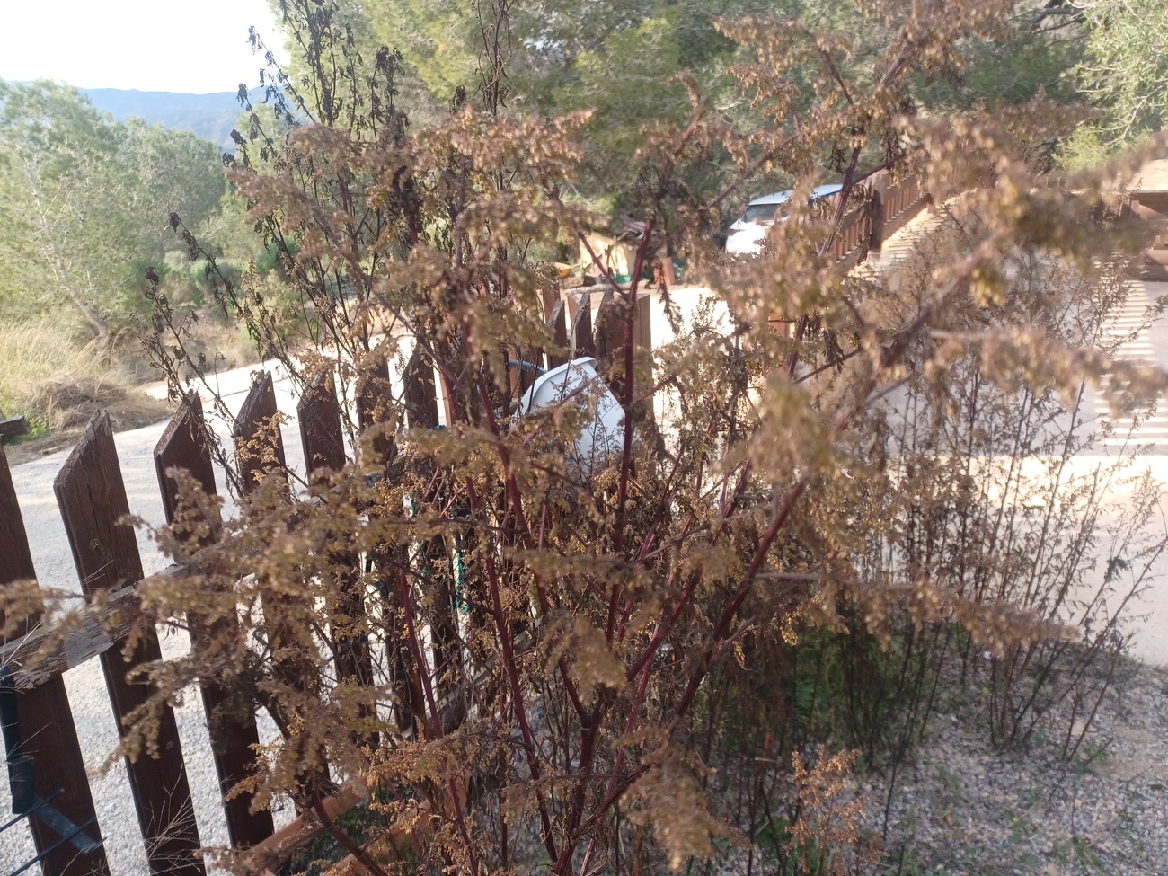 3 Bed, 2 Bath, HouseFor Sale, Gea Y Truyols, Murcia