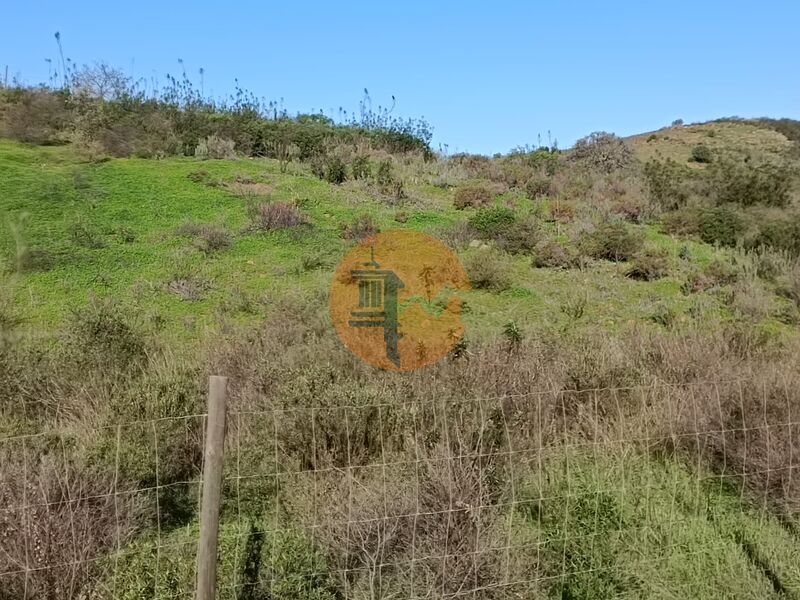 Land, For Sale