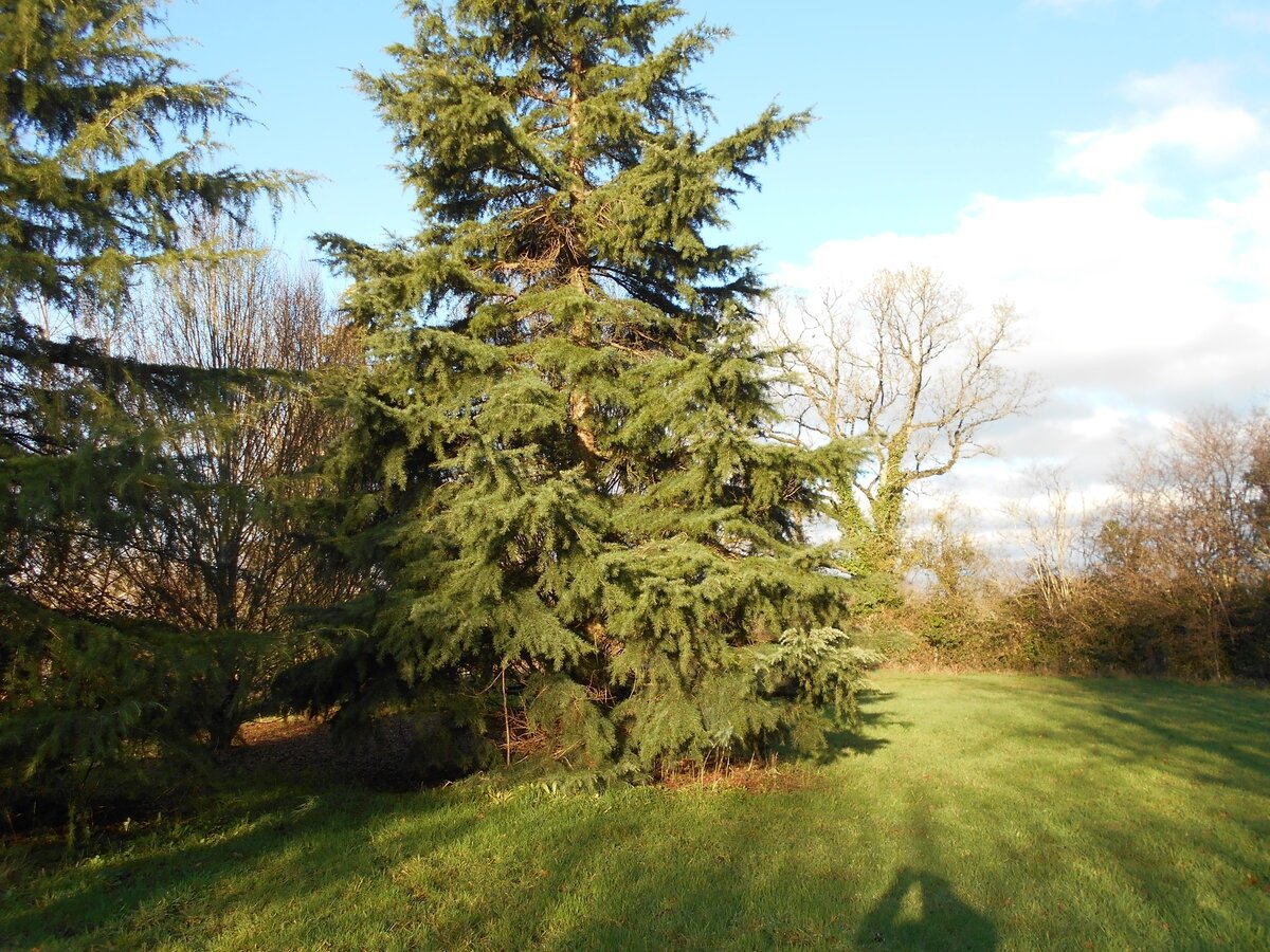 3 Bed, 1 Bath, HouseFor Sale, Lignieres Orgeres, Pays-de-la-Loire, 53140