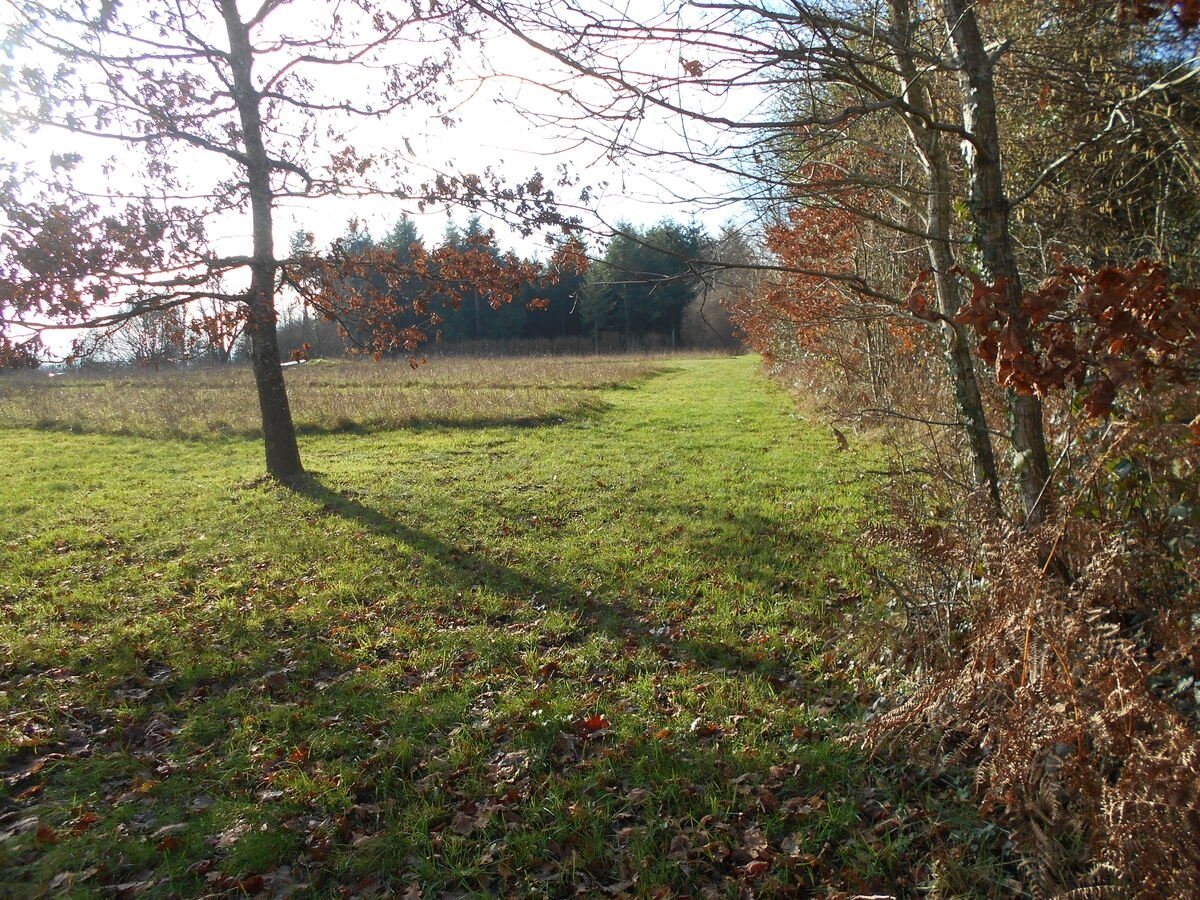 3 Bed, 1 Bath, HouseFor Sale, Lignieres Orgeres, Pays-de-la-Loire, 53140