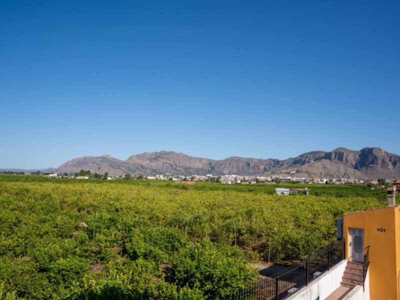 5 Bed, 4 Bath, HouseFor Sale, Orihuela, Alicante