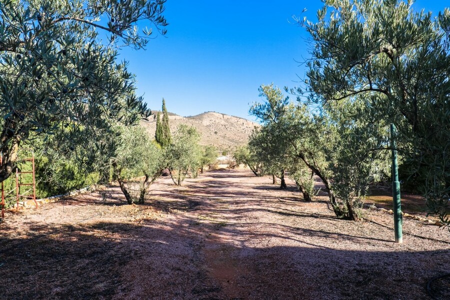 3 Bed, 1 Bath, HouseFor Sale, Hondon De Las Nieves, Alicante