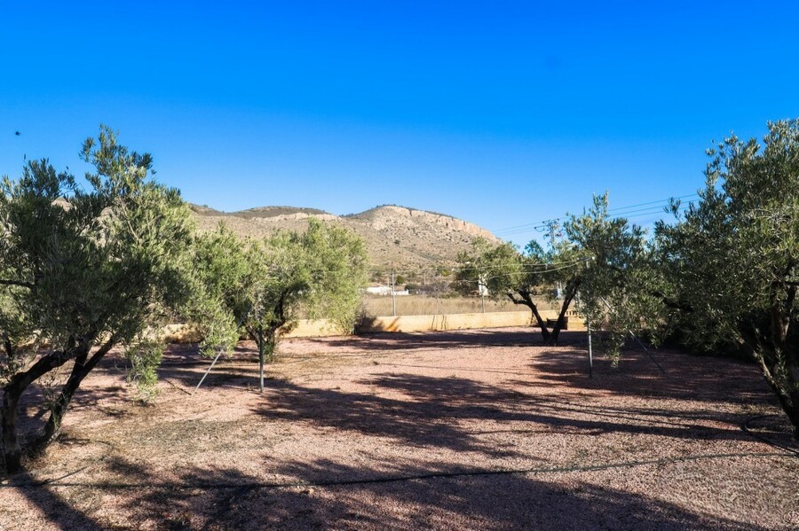 3 Bed, 1 Bath, HouseFor Sale, Hondon De Las Nieves, Alicante