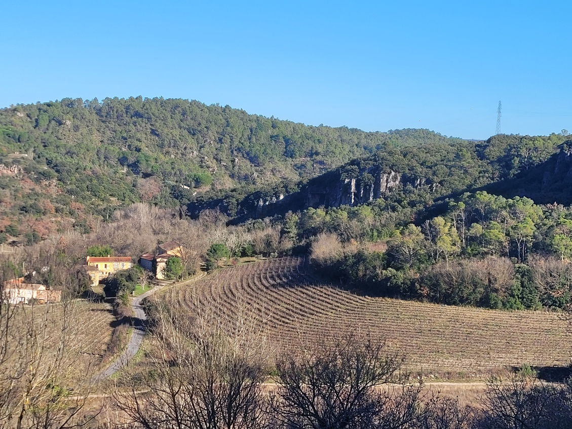 Commercial Property, For Sale