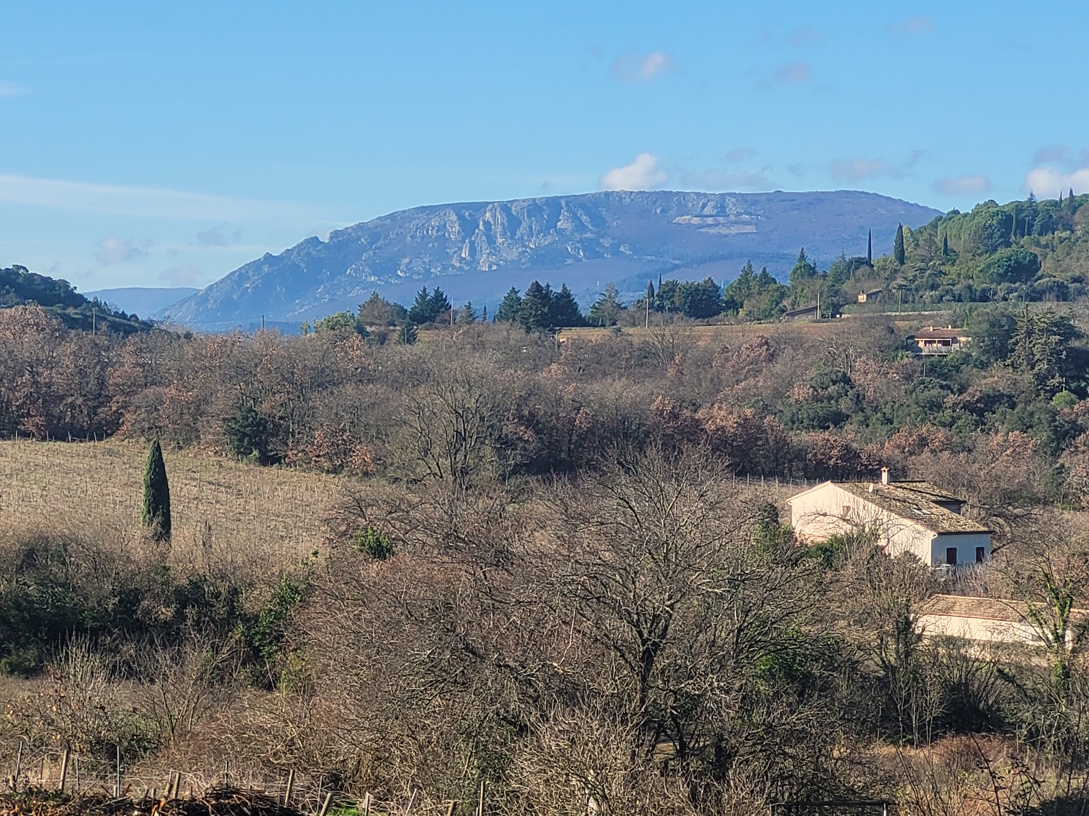 Commercial Property, For Sale