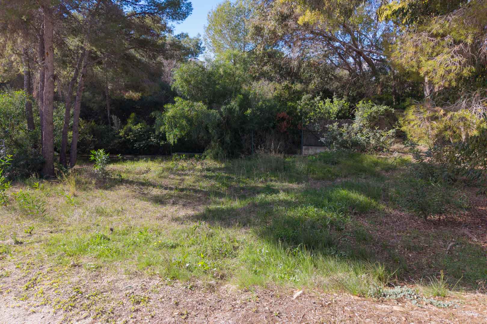Land, For Sale