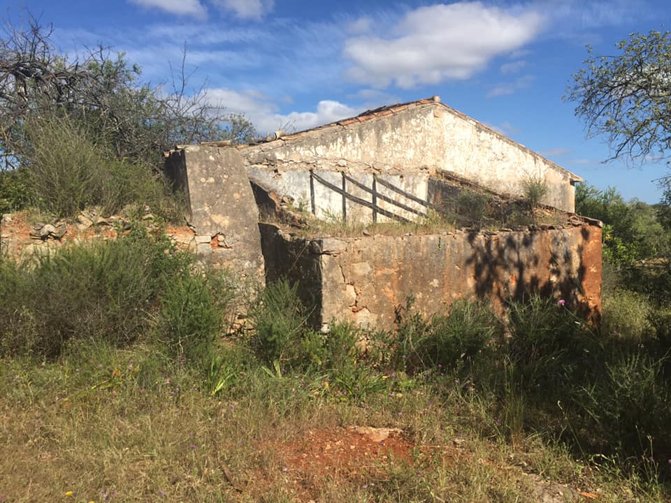 Land, For Sale Land, For Sale