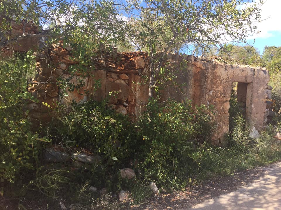 Land, For Sale Land, For Sale