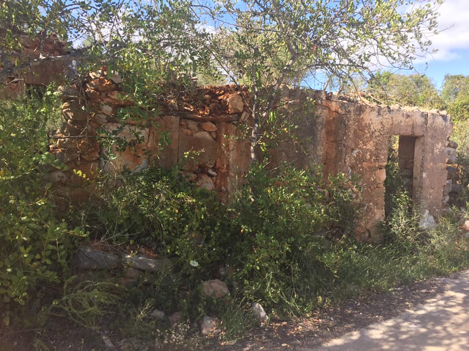 Land, For Sale Land, For Sale