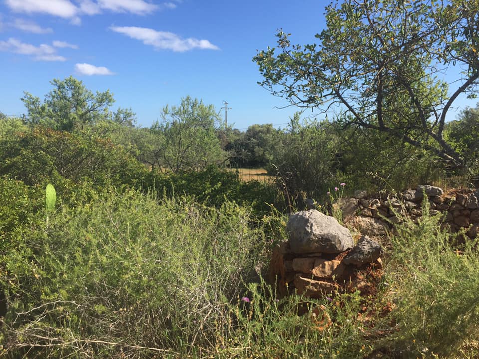 Land, For Sale Land, For Sale