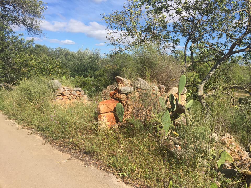 Land, For Sale Land, For Sale