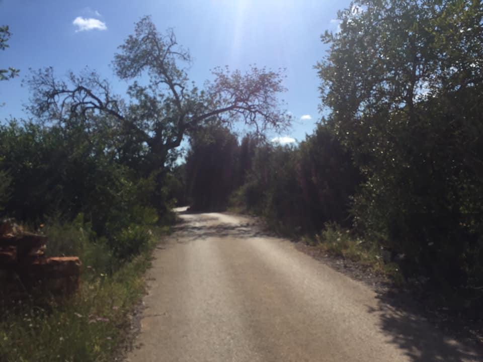 Land, For Sale Land, For Sale