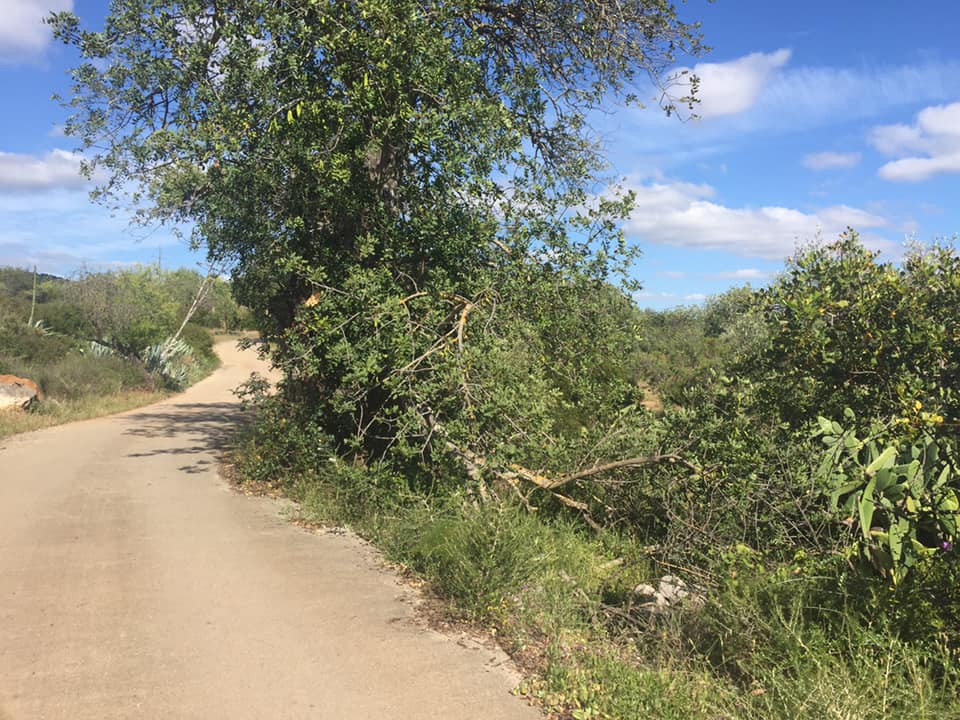 Land, For Sale Land, For Sale