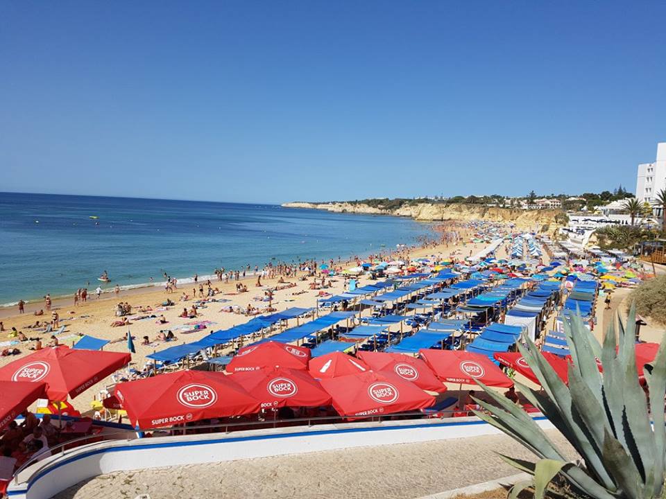 Land, For Sale Land, For Sale