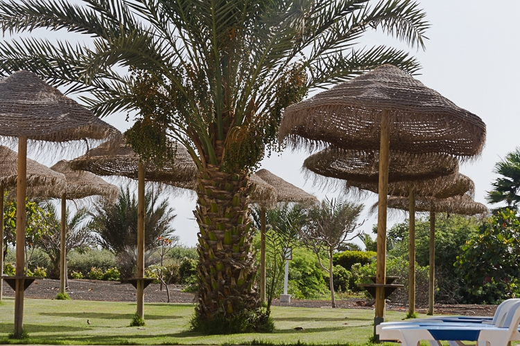 Sal Municipality, Sal Municipality, 4111, 3 Bedrooms Bedrooms, ,2 BathroomsBathrooms,Houses / Villas,For Sale,VVR-0062