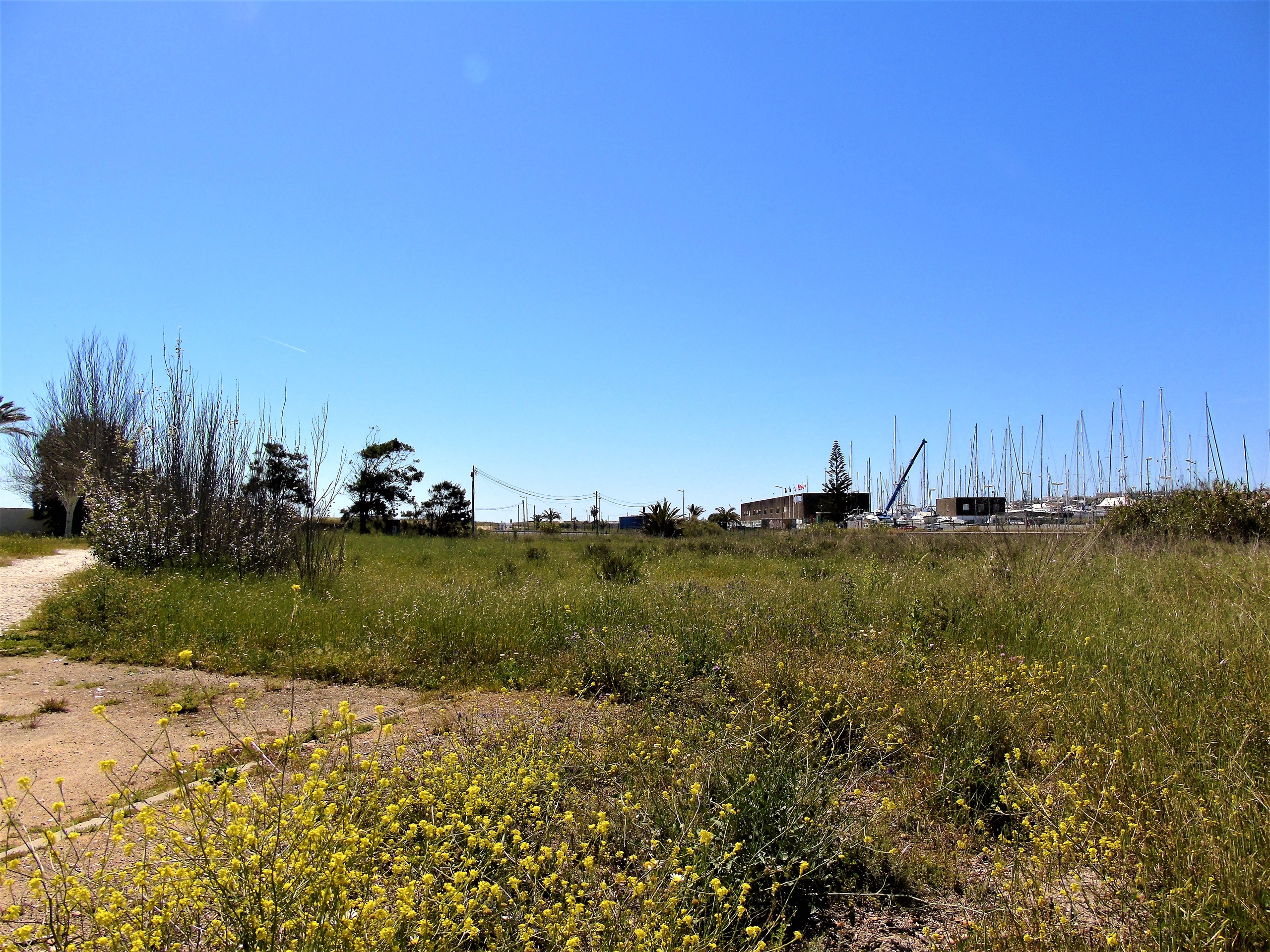 Land, For Sale Land, For Sale