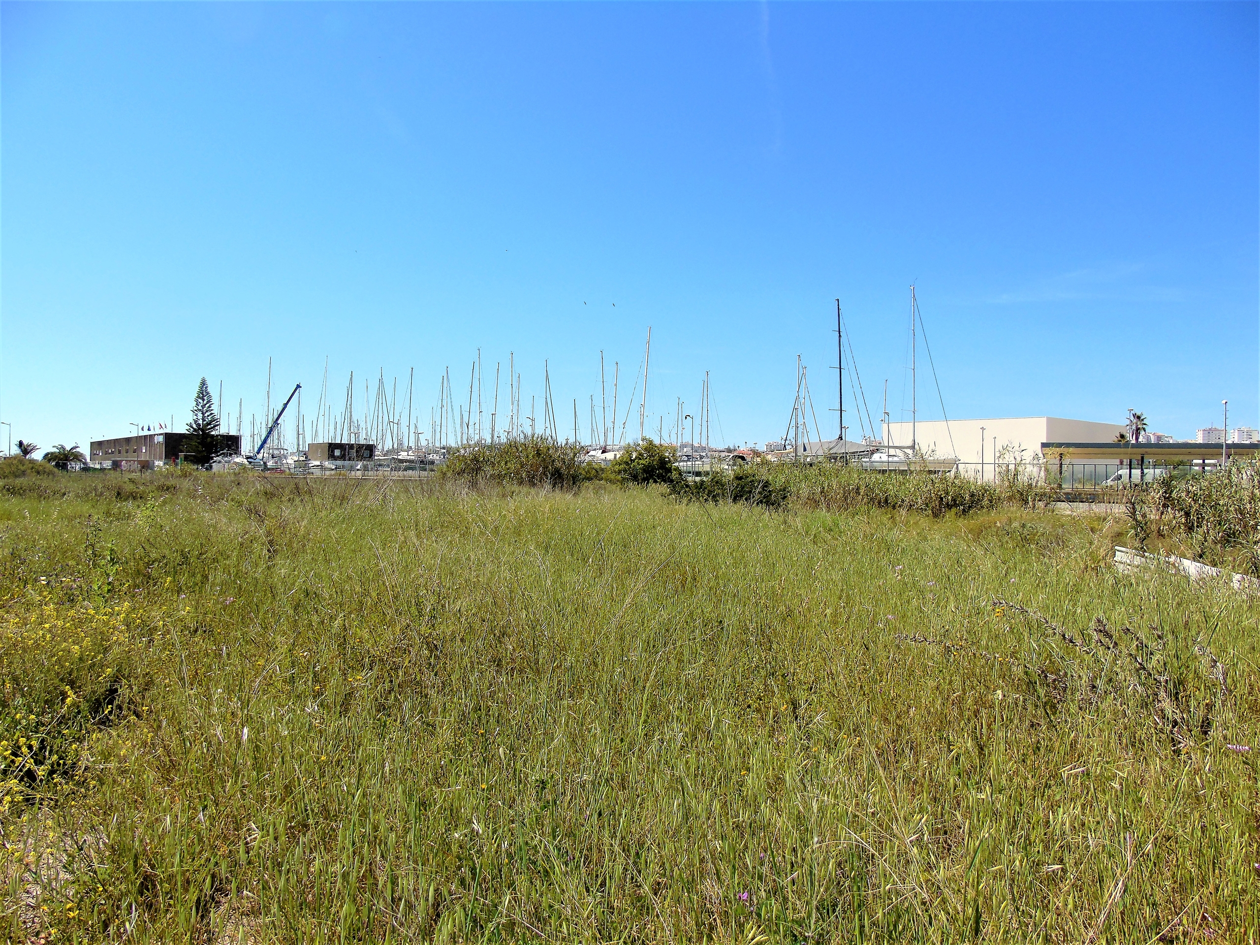 Land, For Sale Land, For Sale