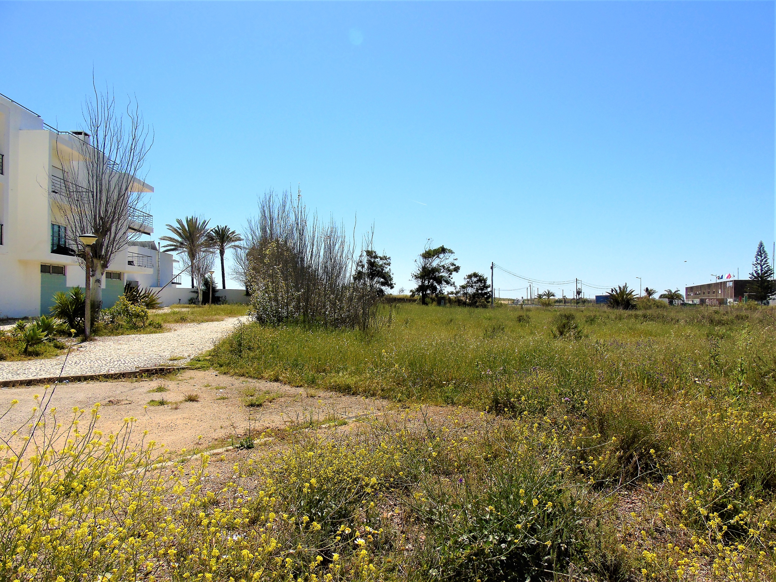 Land, For Sale Land, For Sale