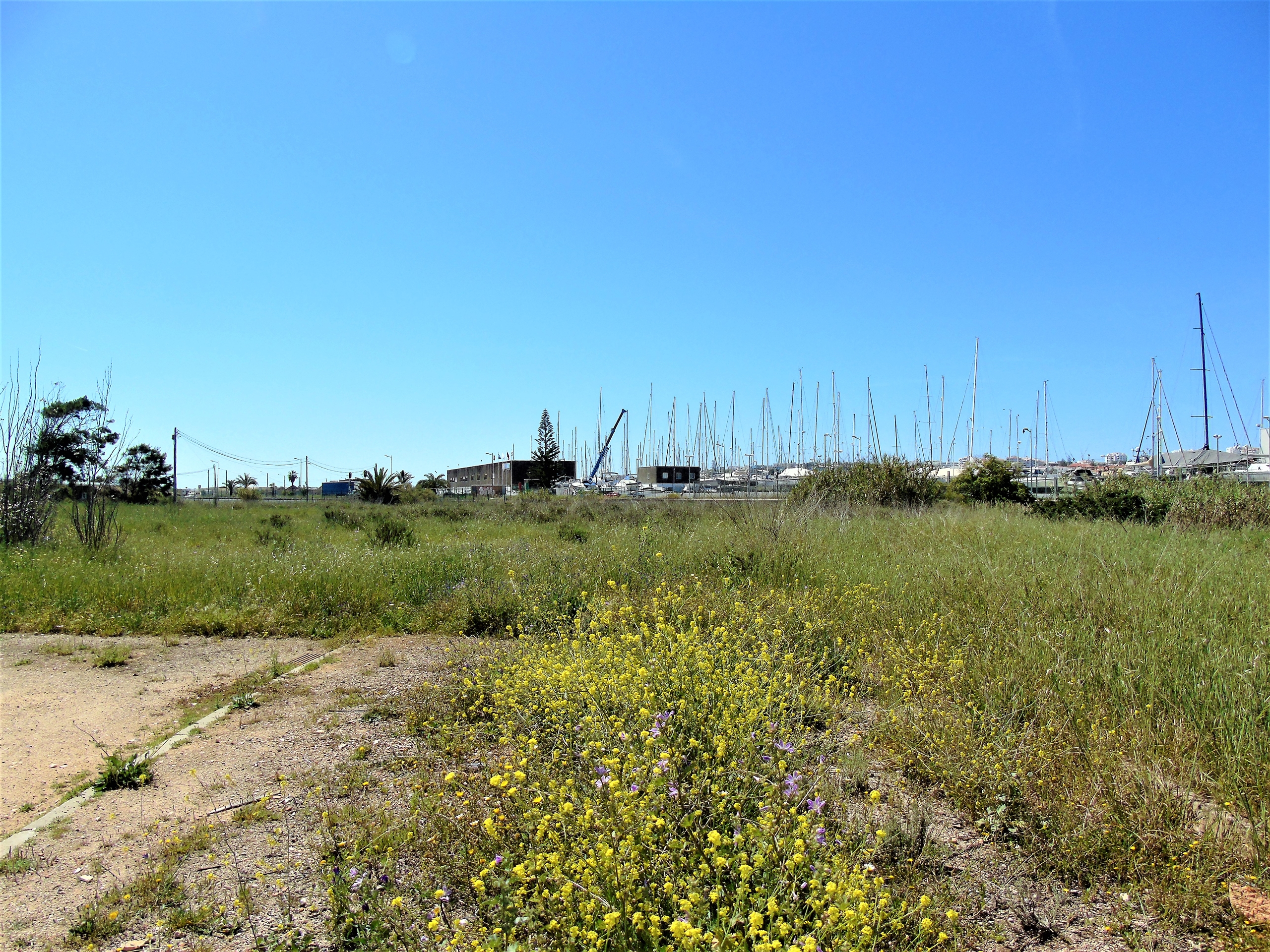 Land, For Sale Land, For Sale