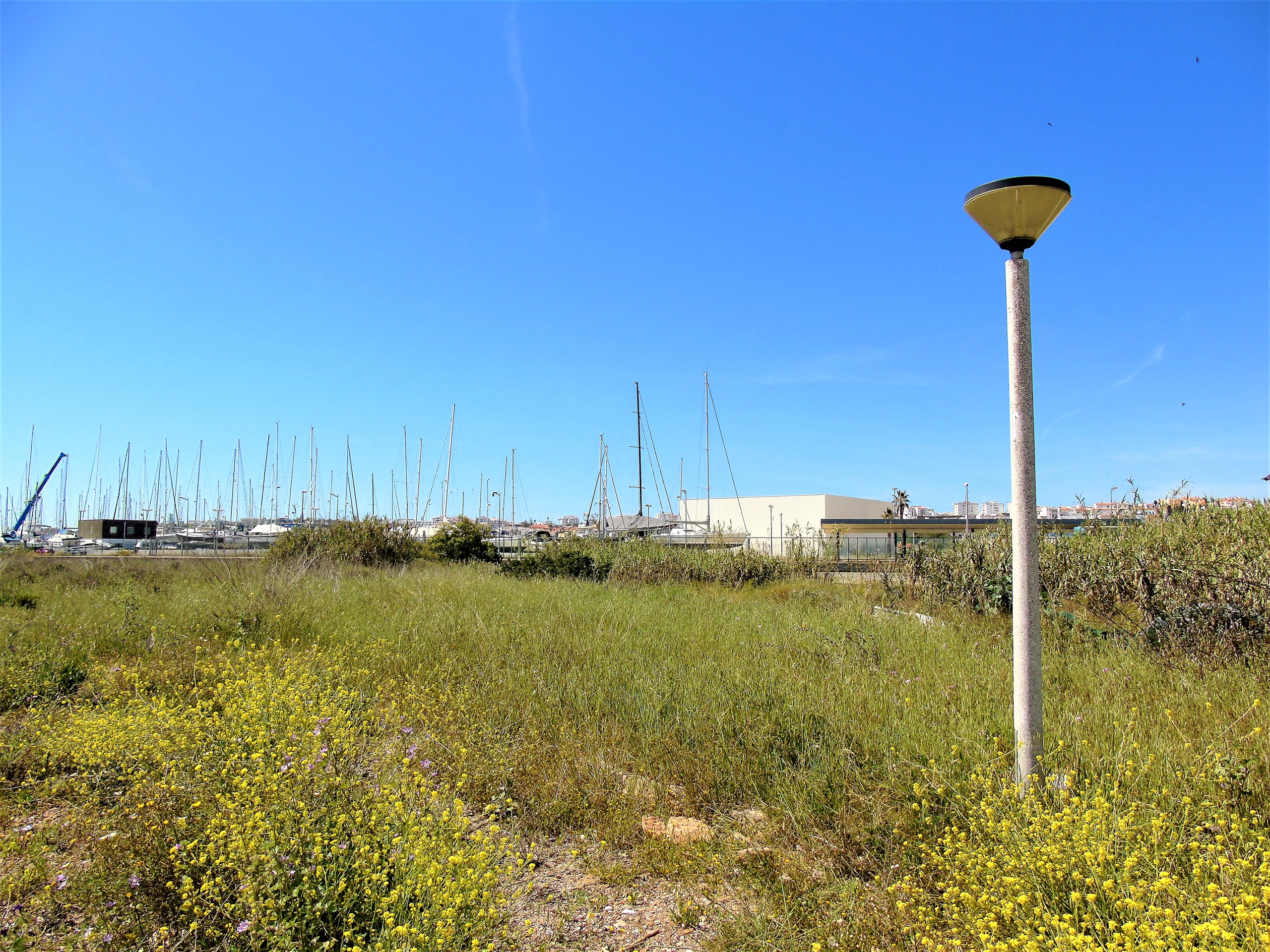 Land, For Sale Land, For Sale