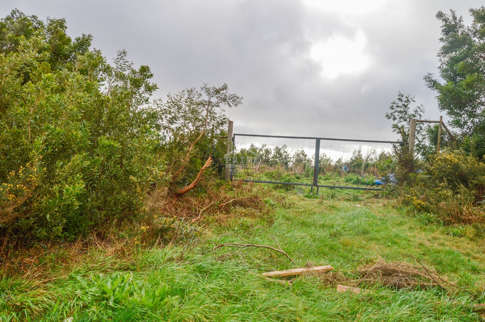 Land, For Sale Land, For Sale