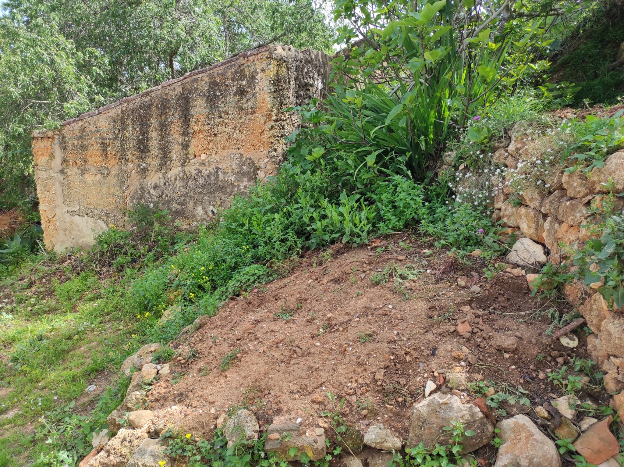 Land, For Sale Land, For Sale