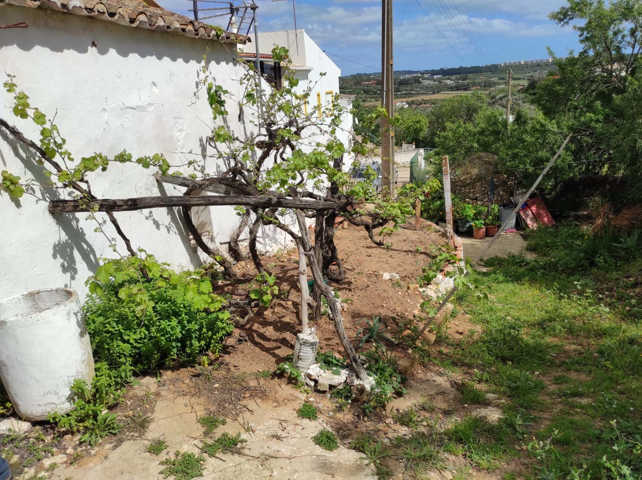 Land, For Sale Land, For Sale