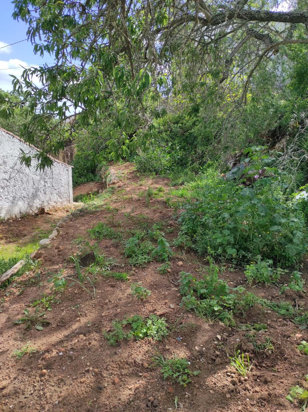 Land, For Sale Land, For Sale