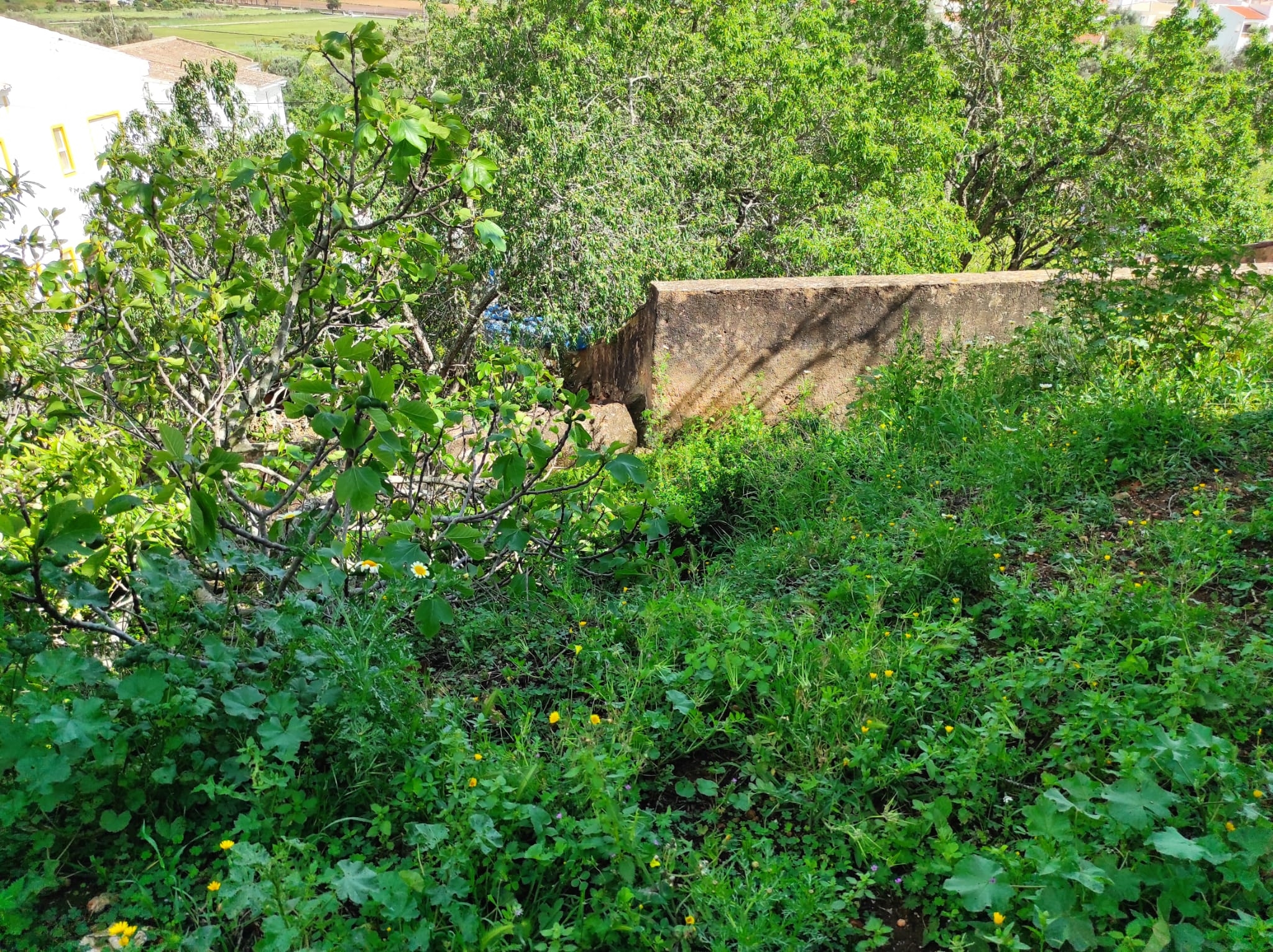 Land, For Sale Land, For Sale