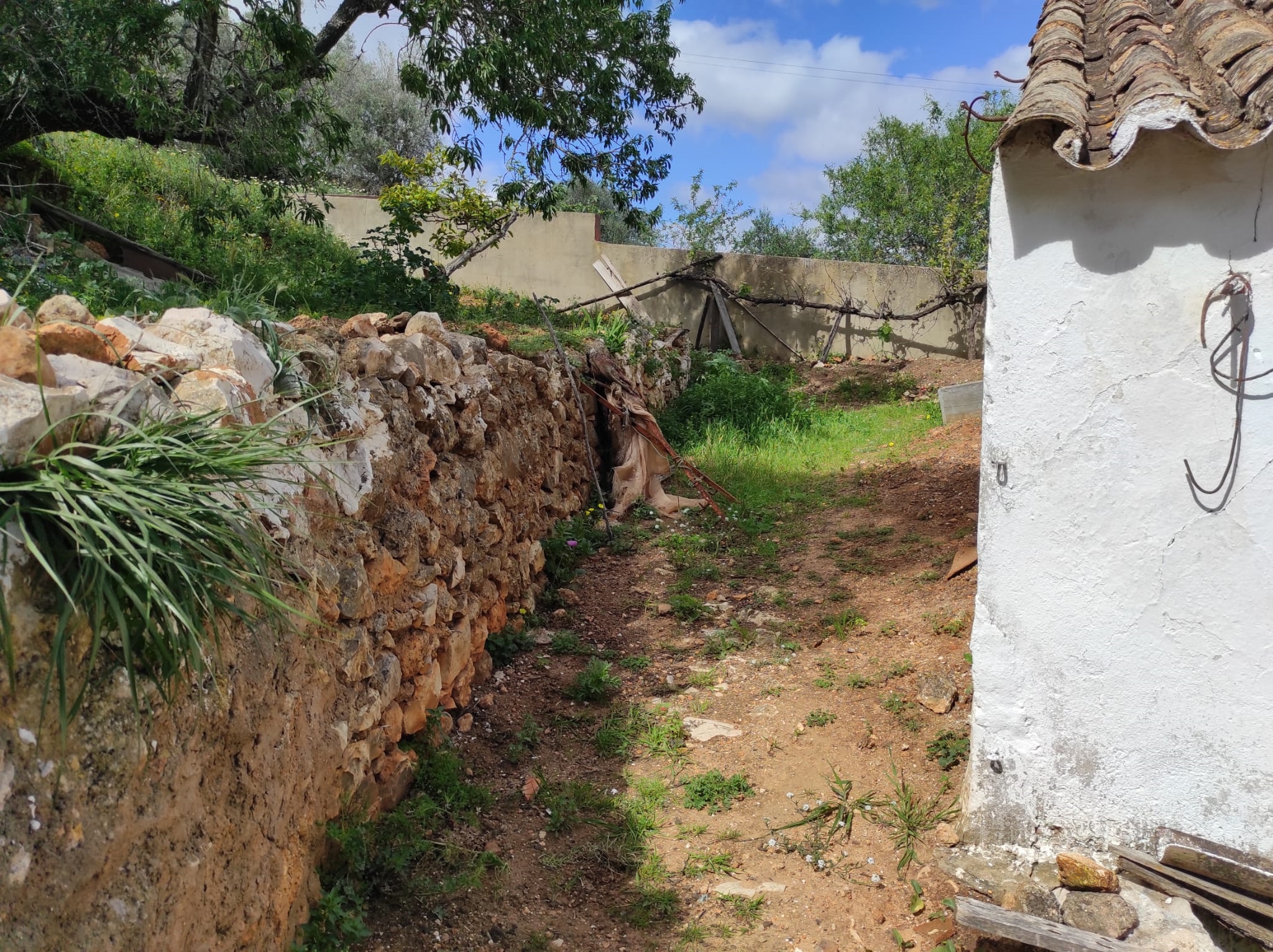 Land, For Sale Land, For Sale