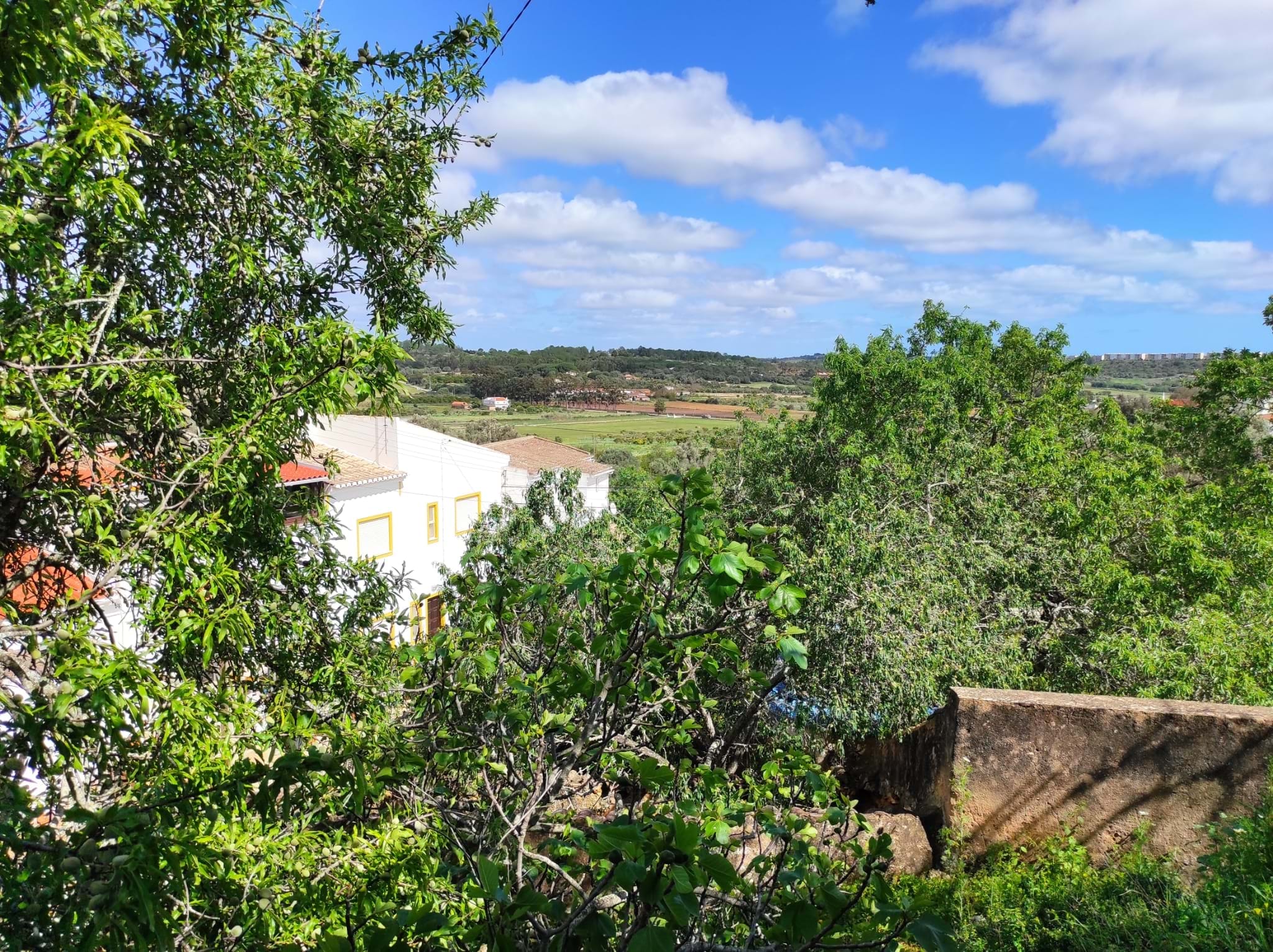 Land, For Sale Land, For Sale