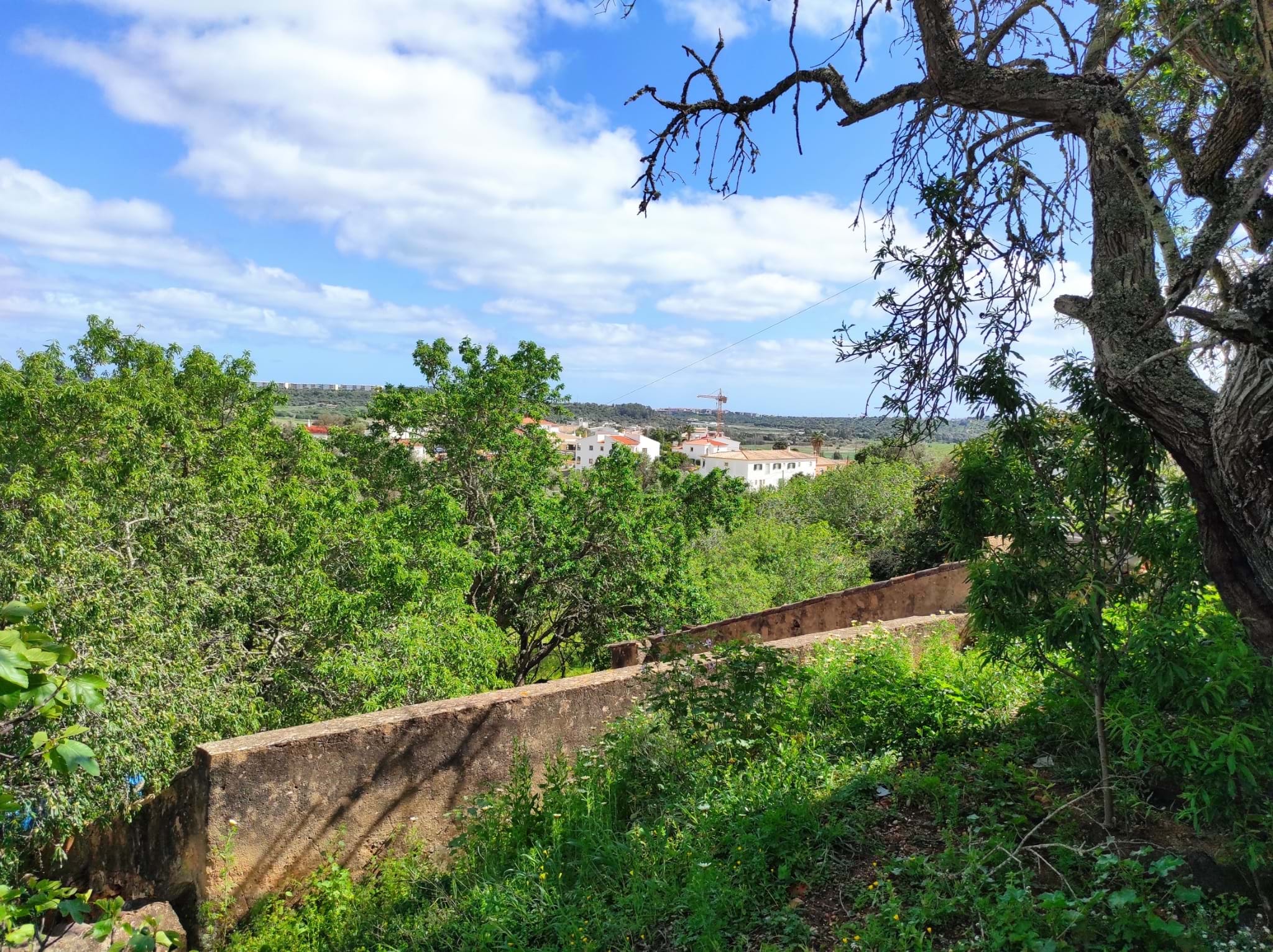 Land, For Sale Land, For Sale