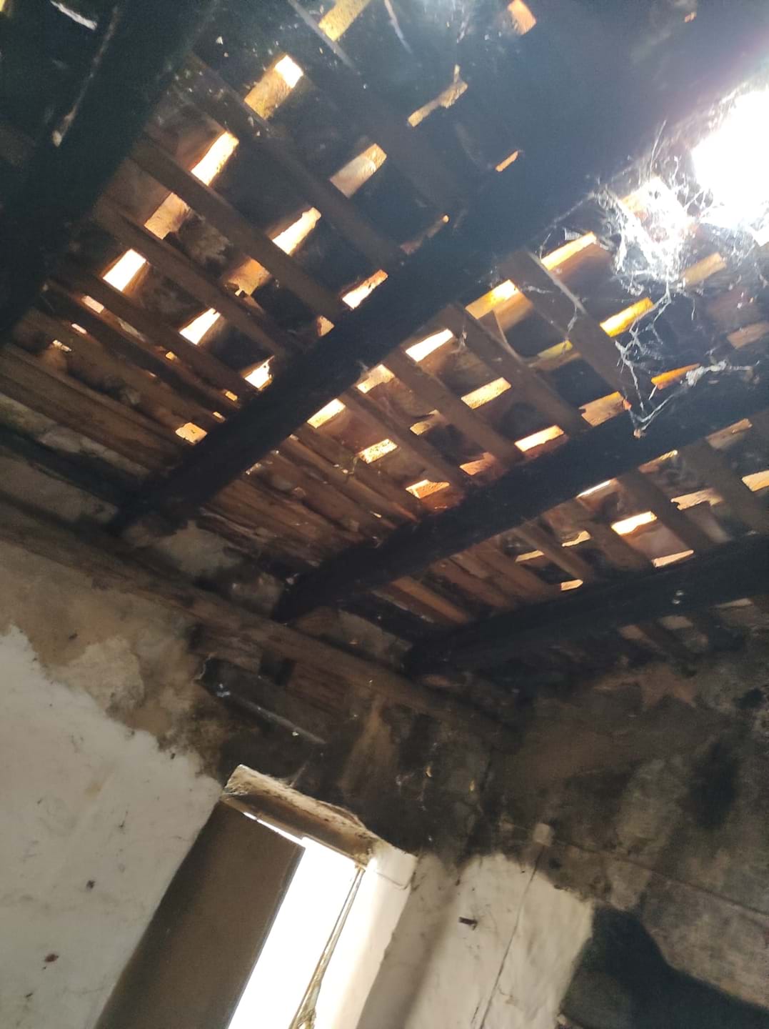 Land, For Sale Land, For Sale