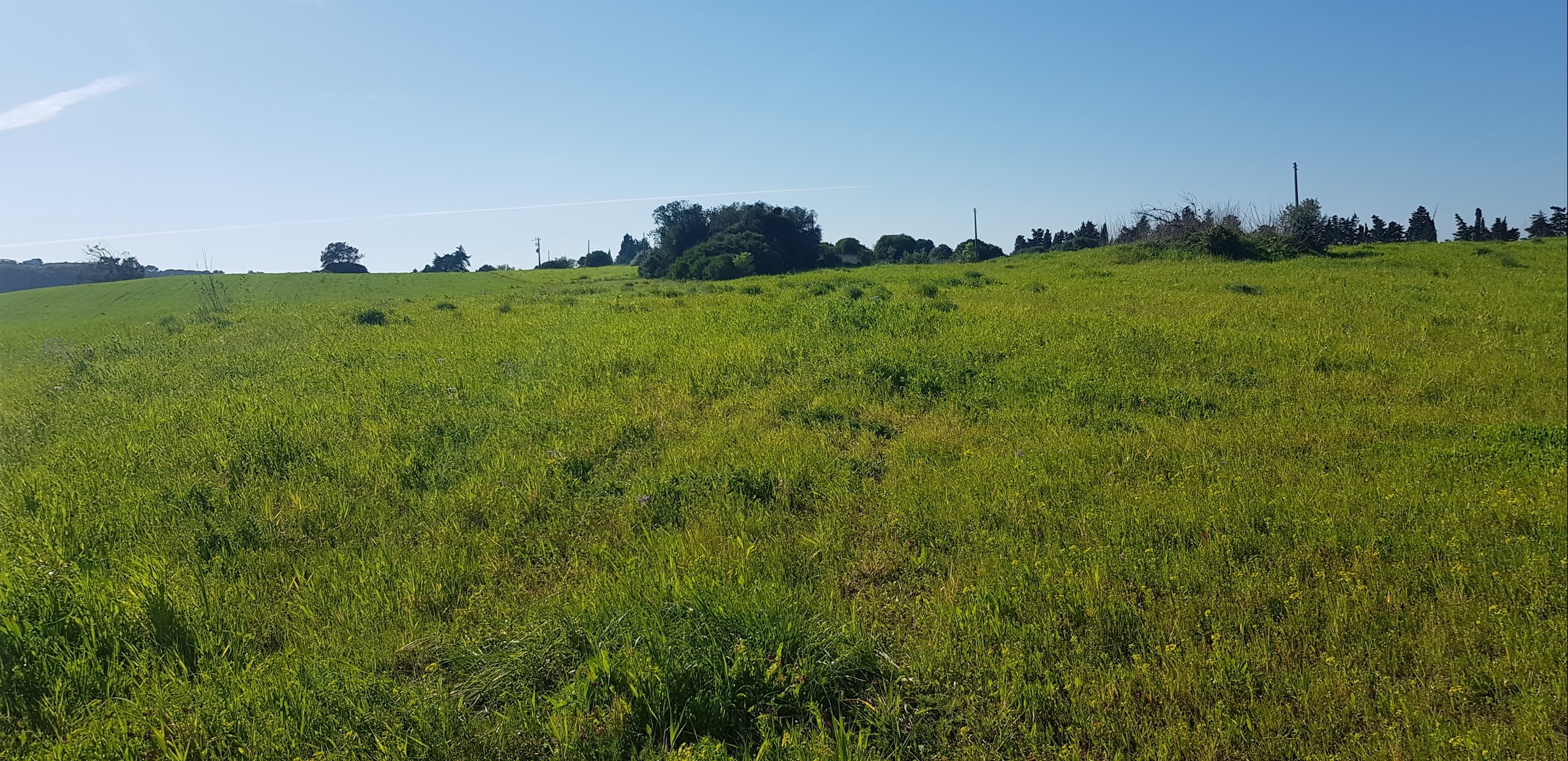 Land, For Sale Land, For Sale